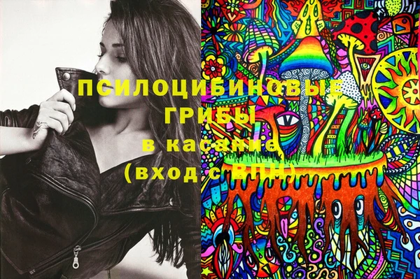 СК Новокубанск